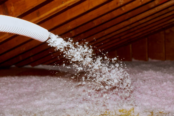 Best Fiberglass Insulation in Robinwood, MD