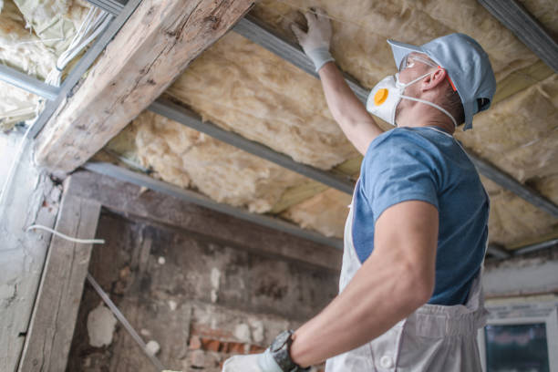 Best Insulation for Specific Applications in Robinwood, MD