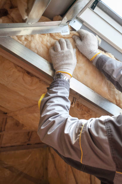 Best Cellulose Insulation in Robinwood, MD