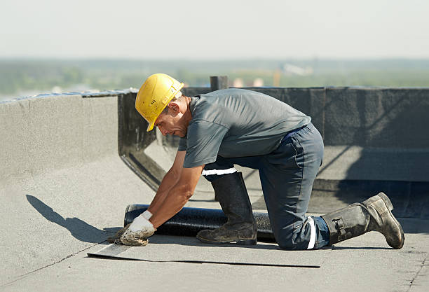 Best Eco-Friendly Insulation in Robinwood, MD