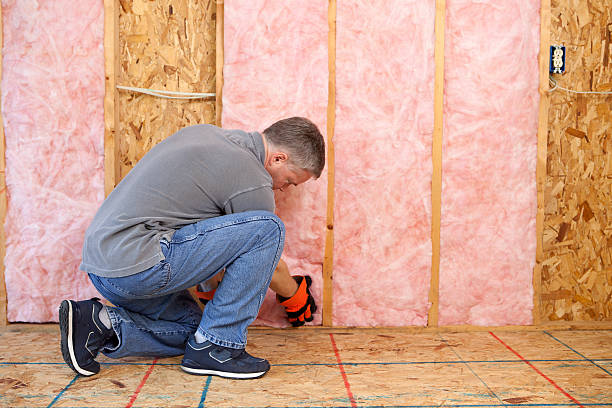 Best Spray Foam Insulation in Robinwood, MD