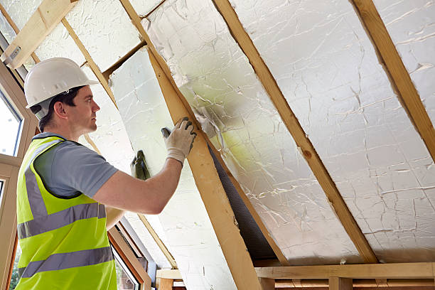 Best Energy Efficiency Insulation in Robinwood, MD